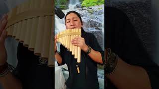 Greek Wine cover Zorba  Vino Griego  Jorge Sangre Ancestral  Pan flute  Happy song shorts [upl. by Alysa]