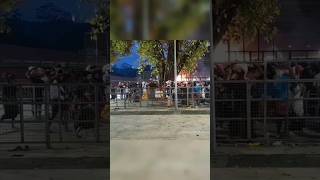 படி ஏறி ஐயப்பனை காண காத்திருக்கு ஸ்வாமிகள்  devotees walking to climb the 18 steps at sabarimalai [upl. by Joete586]