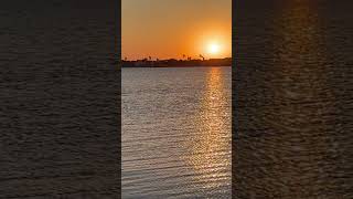 Muddy Waters Live Mannish Boy Sunset Rockport Texas [upl. by Philana]