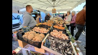 Foire aux champignons 2024 à SaintBonnetleFroid [upl. by Efeek]