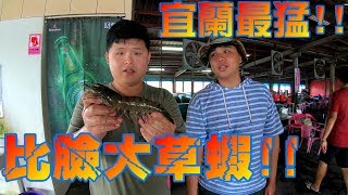 宜蘭郁樂釣蝦場其他地方禁用的水滴鈎霸王鈎輪番上陣Shrimp fishing in Taiwan 台湾のエビ釣り [upl. by Verner]