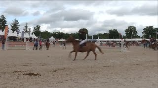 Generali Open de France d’équitation à LamoteBeuvron [upl. by Sasnett]