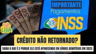 Crédito não retornado  Saiba o que isso significa para os segurado do INSS [upl. by Ivets]