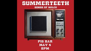 Summerteeth  Pig Bar 5424 [upl. by Acenes347]