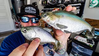 BIG SWIMBAIT UNBOXING MATTLURES amp JACKALL GANTAREL JR [upl. by Arlo]