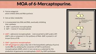 Mechanism of Action of 6 Mercaptopurine in a Nutshell [upl. by Raddie]