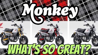 9 Reasons Why People Love The Honda Monkey [upl. by Mollee845]