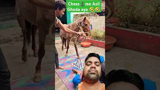 comedy chessman funny chessclub chesschampion freefire chessmaster chesstime dog puzzle [upl. by Rangel]