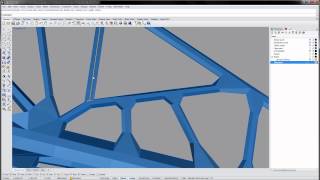 HYPARNINP Step 1 Cell skeleton [upl. by Sej]