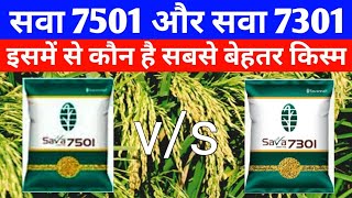 सवा 7501 और सवा 7301 में कौन है बेहतर धान की 2 नई किस्में 2023Sava 7501 vs Sava 7301 paddy sava [upl. by Gerome]