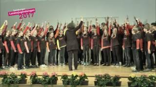 Unterstufenchor St Rupert MPG St Rupert  Landesjugendsingen 2017  FS1 [upl. by Ellenrahc]