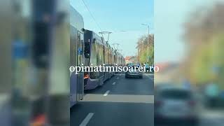 Tramvai galben Bozankaya deraiat la Timisoara Circulatie blocata [upl. by Lazaruk696]