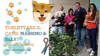 Come toelettare il cane Massimo Scarfi amp Elly [upl. by Helm]