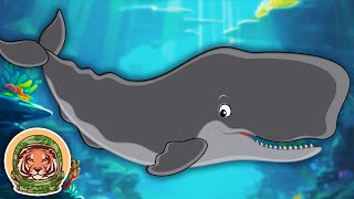 Learn Amazing Facts About Sperm Whales  Animal Songs For Kids  KLT WILD [upl. by Prem]