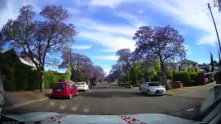 Burnside Jacaranda  Glenunga 2 [upl. by Borszcz]