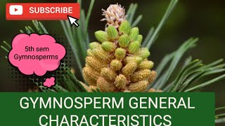 GYMNOSPERM GENERAL CHARACTER BOTANYbscbotany calicutuniversity gymnosperms [upl. by Hersh]