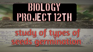 study of different types of seed germination  biology project 12th class [upl. by Aleras139]