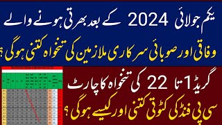 Salary Chart Newly Appointed Employees 202425 Federal Punjab and Sindh  BPS 1 to 22 pay scale [upl. by Esile820]