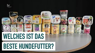 Hundefutter im Warentest Welches Nassfutter ist empfehlenswert  Die Ratgeber [upl. by Bremer]