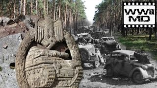 WWII Metal Detecting  German Panzer and SS  Discover History on the Eastern Front [upl. by Notwal]