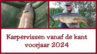 Karpervissen voorjaar 2024  karper [upl. by Ilrebmyk450]