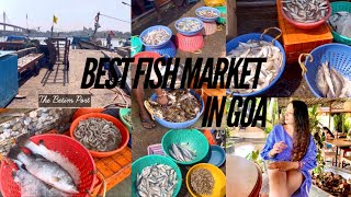 Best Fish Market and Sea Food market in Goa  Best quality and cheapest prices  Direct from the sea [upl. by Philemol984]