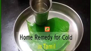 சளிக்கான சிறந்த மருந்து  Home Remedy for Cold in Tamil  Betel Leaf  healthiswealthours [upl. by Bathelda]