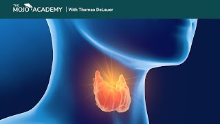 How Does Keto Affect Your Thyroid [upl. by Nimrahc]