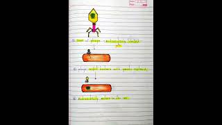 Hershey chase Experiment 🧬🧪🔬 DNA 🧬 is genetic material  Biochemistry  easy notes 📝 [upl. by Jaqitsch]