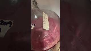 Making Homemade Wine Adding in Tannin [upl. by Enilesor]