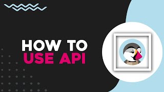 How To Use PrestaShop API Easiest Way [upl. by Aneertak]