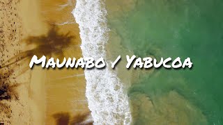 Puerto Rico by Air Mavic Pro  MaunaboYabucoa  Cinematic Footage [upl. by Isherwood]