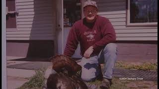 Silver Labrador Retrievers  Tuscola County History Trophy Tales 20030911 [upl. by Einned107]