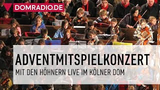 DIE HÖHNER IM KÖLNER DOM  Adventmitspielkonzert 2022 im Kölner Dom 041222 [upl. by Anaehs563]