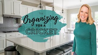 NEW Organizing Ideas and Tips for Crickets [upl. by Ridglee]