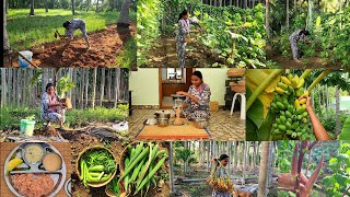 அவகேடோ🥑 இரம்புட்டான் 🌽சோள சந்தவைனு ஒரு புது விதமான அனுபவம்Vegetable harvsetingplanting new trees [upl. by Wilterdink585]