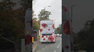 Livery  LG71DZL on route 132 heading to Bexleyheath ‘EP4’ bus localbus publicbus tfl [upl. by Ennaillek351]