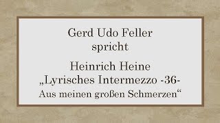 Heinrich Heine „Lyrisches Intermezzo – 36  Aus meinen großen Schmerzen“ [upl. by Annaeel]