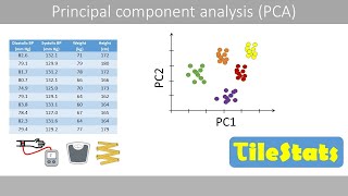 PCA  the math  stepbystep with a simple example [upl. by Lev]