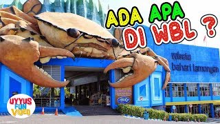 Vlog Liburan ke WBL  Wisata Bahari Lamongan [upl. by Asseralc]