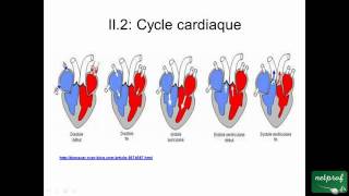 Structureetfonctionducoeur [upl. by Anawot]