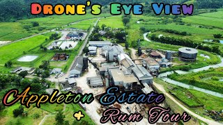 Appleton Estate amp Appleton Rum Tour St Elizabeth  Experience of a Lifetime  Drones Eye View [upl. by Afnin]