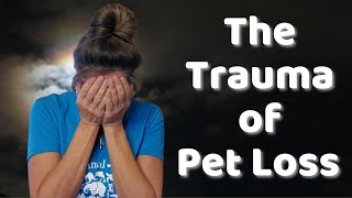 Euthanasia  The Trauma of Pet Loss [upl. by Buddy288]