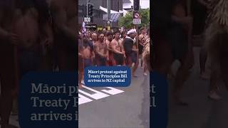 Māori protest arrives in NZ capital  ABC News [upl. by Allesor]