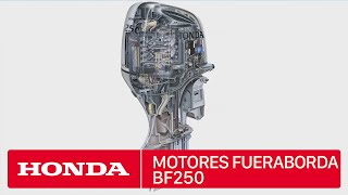 Motor Fueraborda Honda BF250 [upl. by Yrkcaz770]