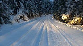 Sledding crow foot and hunters range and off road around enderby bc  Canadian Haywire [upl. by Pengelly]