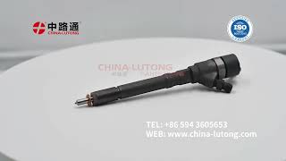 Common Rail Injector Nozzle 0 445 110 729 for BOSCH HYUNDAI KIA 3380027900 [upl. by Gerlac]