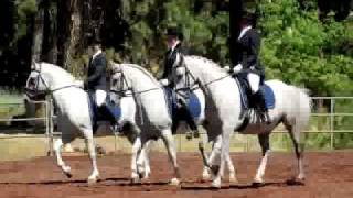 White Horse Vale Lipizzans  Slideshow [upl. by Chick]