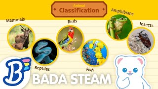 🌟NEW STEAM Lesson  Classification [upl. by Acinoreb]