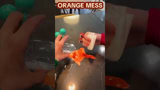 MAKING AN ORANGE MESS shorts [upl. by Chin]